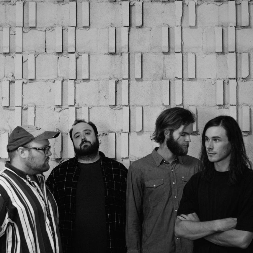 VV Torso - (Indianapolis, IN)